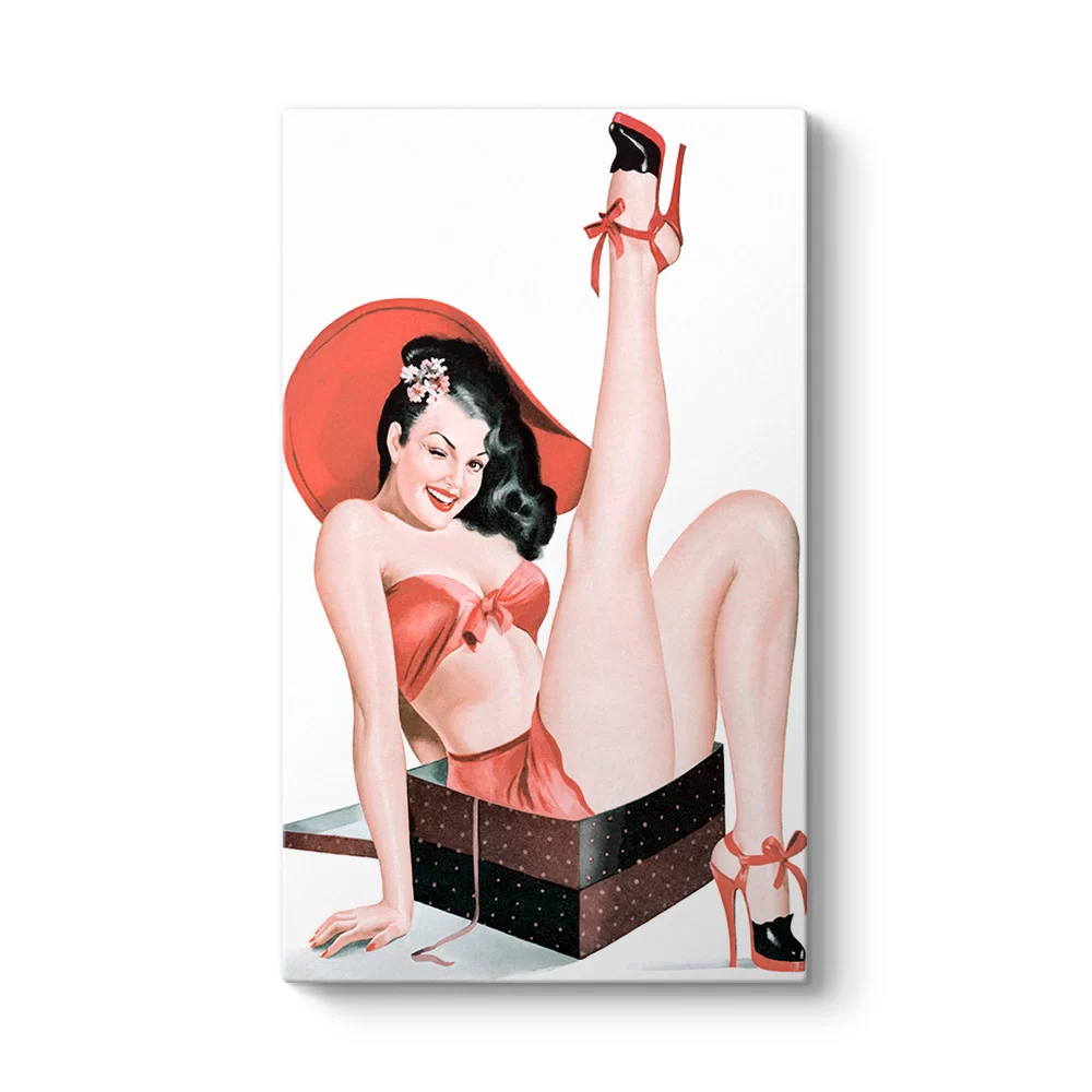 Pin Up Girl Paket Tablosu - Model 35